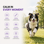 ZenCalm Dog Calming Collar