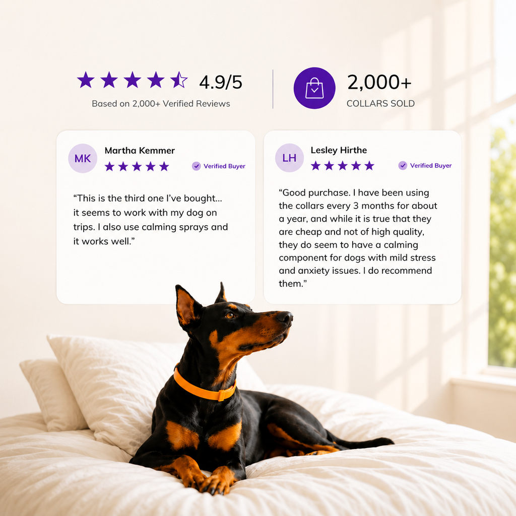 ZenCalm Dog Calming Collar