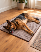 ZenCalm Chill™ — Cooling Mat