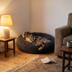 ZenCalm Den™ — Calming Donut Bed