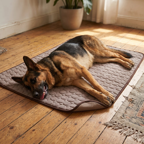ZenCalm Chill™ — Cooling Mat