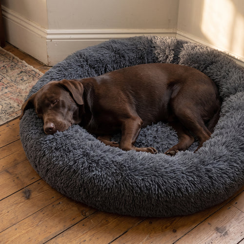 ZenCalm Den™ — Calming Donut Bed