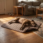 ZenCalm Chill™ — Cooling Mat